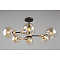 Люстра Omnilux OML-93607-06